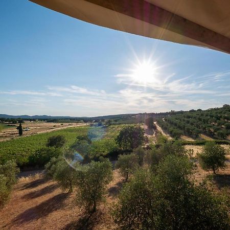 Glamping Podere San Jacopo Massa Marittima Exteriér fotografie