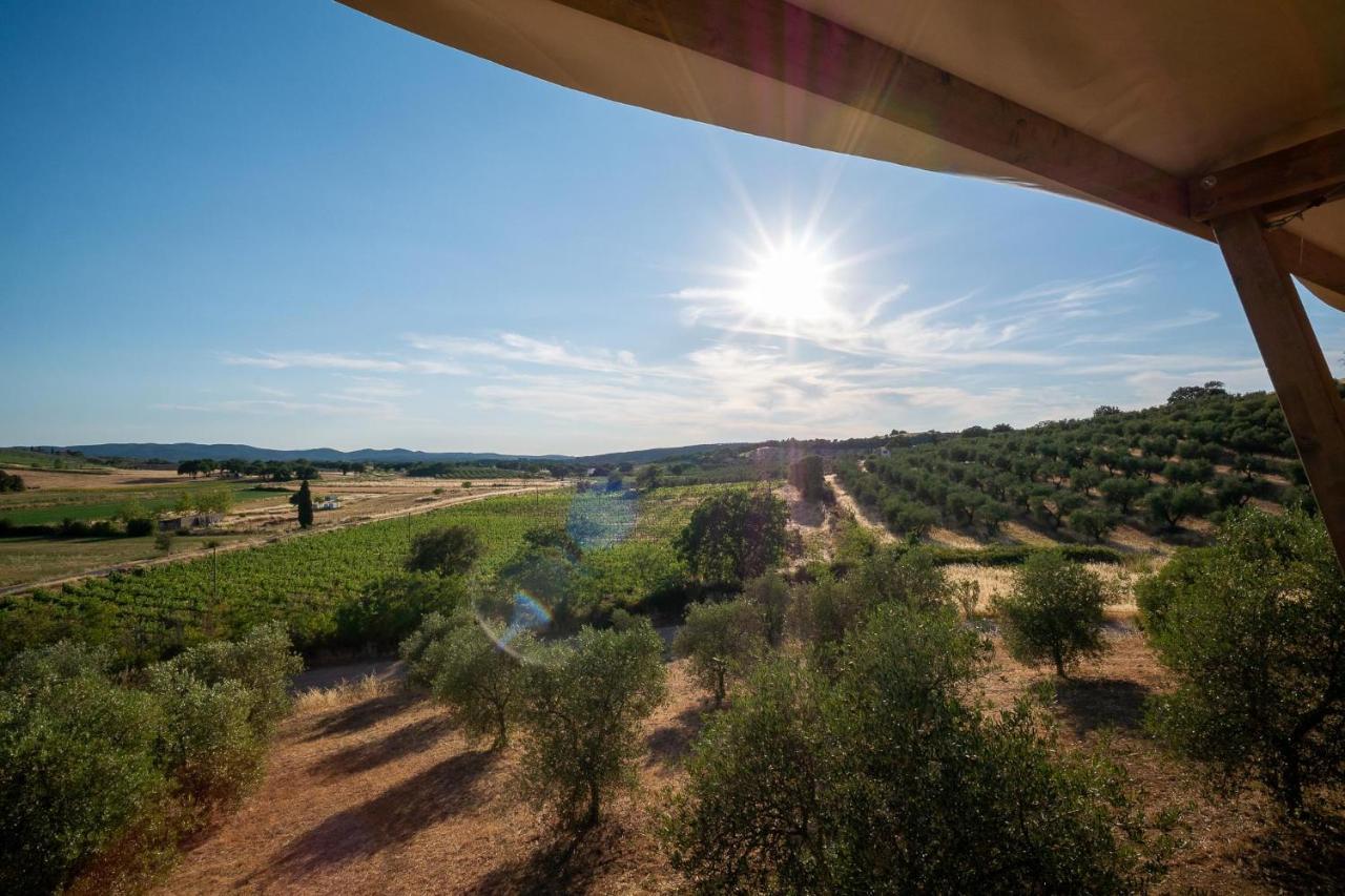 Glamping Podere San Jacopo Massa Marittima Exteriér fotografie
